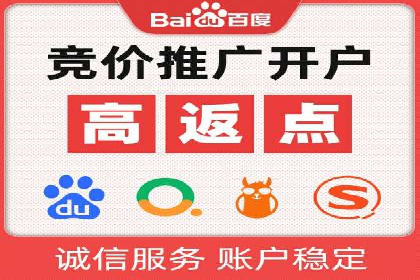 案例分享：专业SEM托管助力品牌崛起
